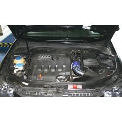 Układ Dolotowy Audi A3 2.0 TDI 16V 05+ Carbon Fiber Aero Form CF661-5