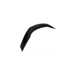 Lotka Lip Spoiler Carbon  BMW Z4 (G29) Roadster 2018-obecnie